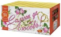 Салют Салют да любовь ЕС553 купить от производителя ФейерЛэнд — Кашира