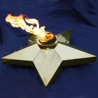 Звезда Ø 1100 - горелка ГВД 379 10 89 00 ПС (1636) в Кашире