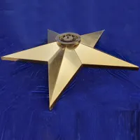 Звезда вечный огонь (1628) поставка комплект горелка ГВД 379 10 89 00 ПС ø 1100 мм. пустотелая  в Кашире